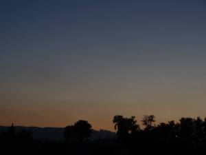 10389066_741914225864082_2726072046780937641_n