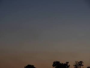 934856_741914179197420_9172139740540321653_n