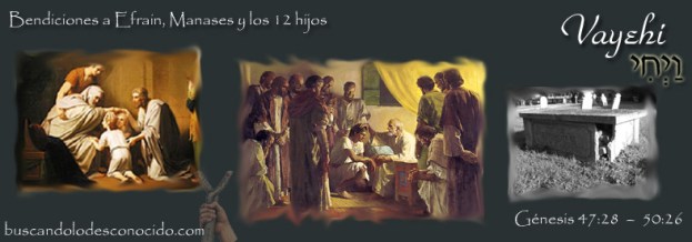 12 Vayeji 47-28 a 50-26