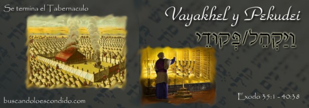 22 Vayakhel  Exodo 35-1 a 38-20   y  23  Pekudei Exodo 38-21 a 40-38