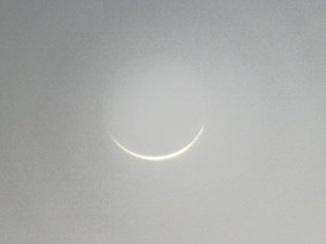 644391_10153161932158629_1406864149796279292_n