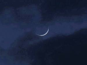 11127478_10153358084548629_8029528014859238937_n