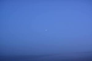 11146238_10206463935578664_1410486677337893995_n