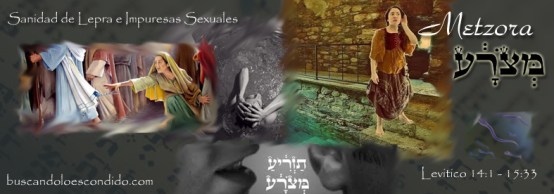 28 Metzora Lev 14-1 a 15-33