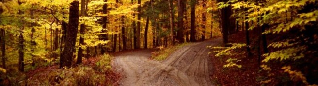 cropped-two-roads-diverged11