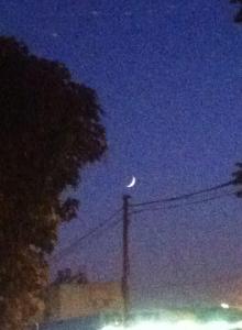 11138136_849609335094570_432250027832837194_n