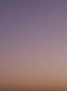 11407199_849603715095132_361477304555911210_n