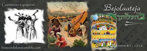 36 Bejaaloteja    numeros 8-1 a 12-16