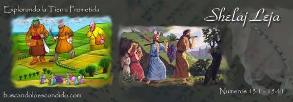 37  Shelaj Leja    Numeros 13-1 a 15-41