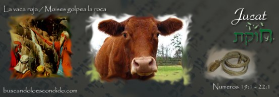 39  Jucat    Numeros  19-1 a 22-1