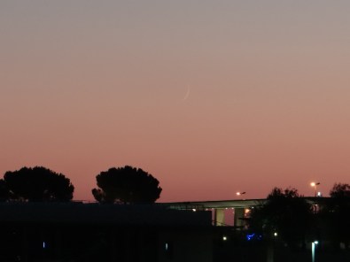 09643fc1-d0ca-4c8f-932f-d3507a5c3a15