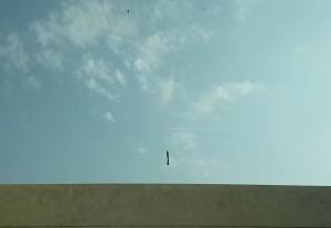 12000116_10156156840360226_1570240426_n