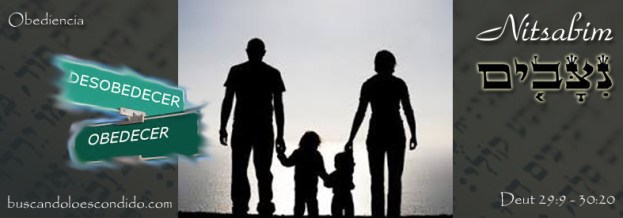 51 Nitsabim 29-9 a 30-20