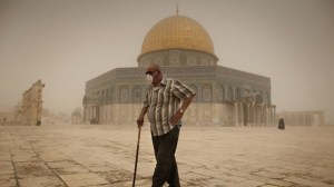 Se le ha pedido a la población que utilice ropa que cubra todo el cuerpo así como protectores para boca y nariz.