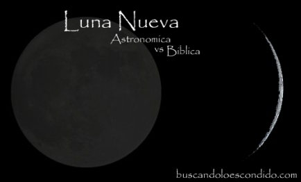 Luna Nueva copy