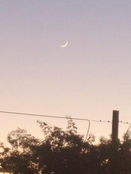 Luna Nueva 9no mes_3