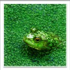 195300310_f6be2c9c1c