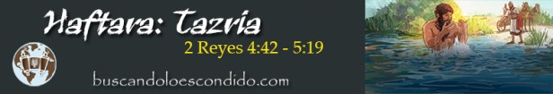 27. Haftara  Tazria  2 Reyes 4-42 a 5-19   Profetas_Los Libros Sellados