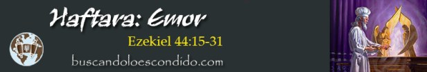 31. Haftara  Emor  Ezekiel 44-15 a 31   Profetas_Los Libros Sellados