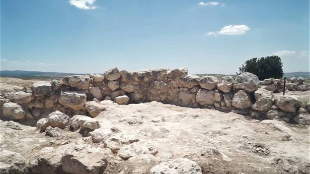 13346554_10150667622959969_7440040256963736516_n