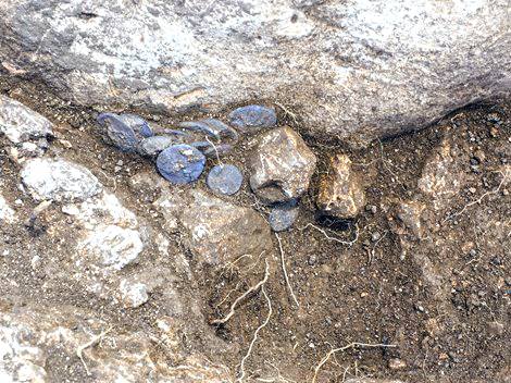 13419226_10150667622859969_6209016120987016437_n