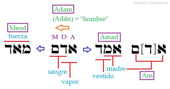 11822725_10200739321242879_5765667721112421145_n