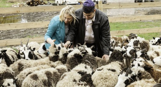 gil-and-jenna-feeding-the-sheep-1-e1465045975626