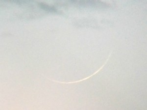 luna-nueva-febrero-27-2017_2