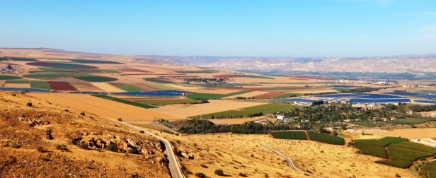 Fields, meadows and villages