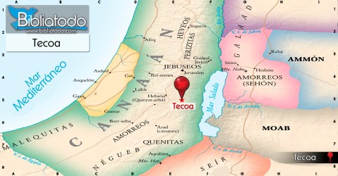 ubicacion_geografica_tecoa