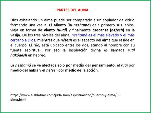 PARTES DEL ALMA