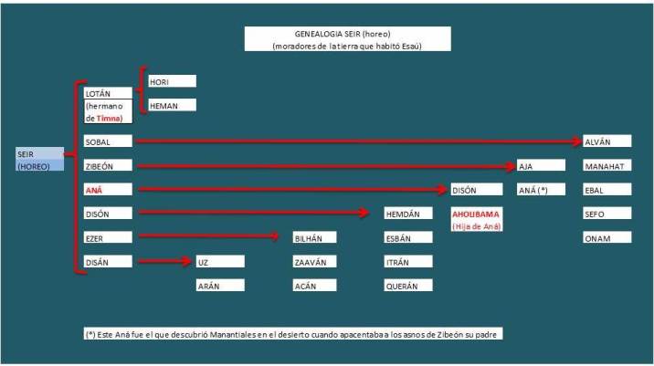 genealogia de SEIR horeo