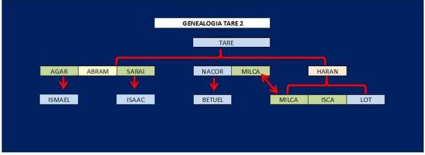 GENEALOGIA TARE 2