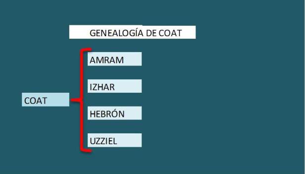 2 genealogia de COAT