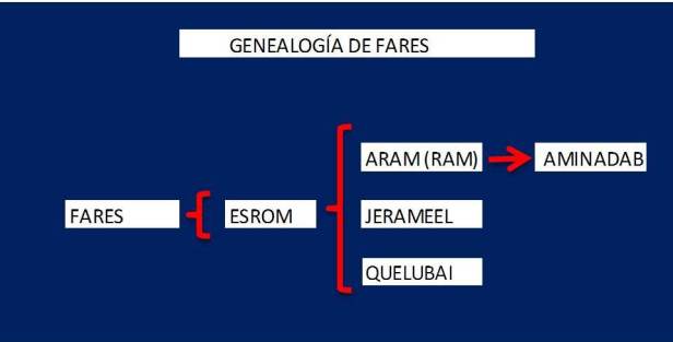 Genealogía de FARES