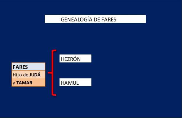 Genealogía de FARES.jpg