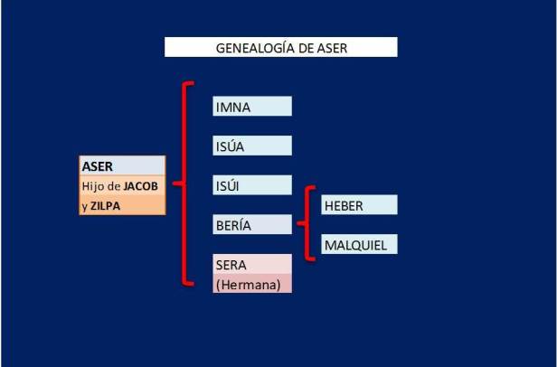 GENEALOGIA DE ASER