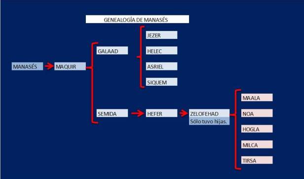 GENEALOGIA DE MANASES