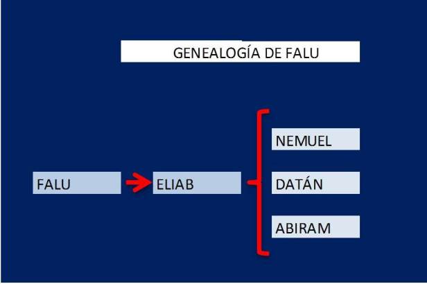 genealogia falu