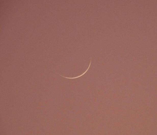 87946521_10157099392497014_441360756416446464_n