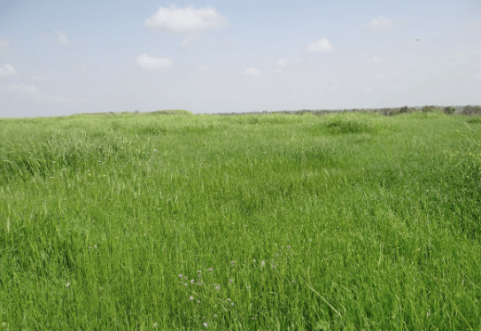 Captura de Pantalla 2020-03-20 a la(s) 21.12.00