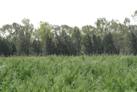 Captura de Pantalla 2020-03-20 a la(s) 21.12.29